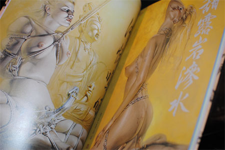 "PUSSYCAT ! KILL! KILL! KILL!"  ART BOOK