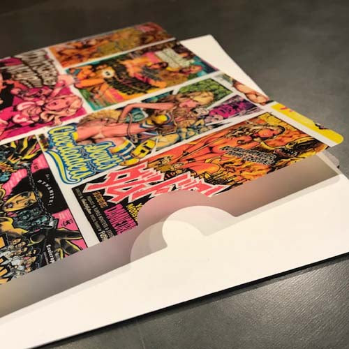 “Rockin’Jelly Bean” & “Decades of EROSTIKA” Clear File Set of 2